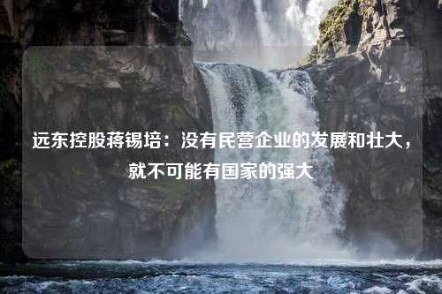 远东控股蒋锡培：没有民营企业的发展和壮大，就不可能有国家的强大