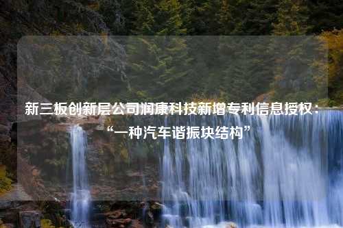 新三板创新层公司润康科技新增专利信息授权：“一种汽车谐振块结构”