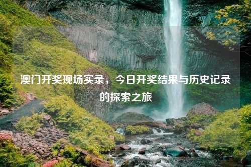 澳门开奖现场实录，今日开奖结果与历史记录的探索之旅