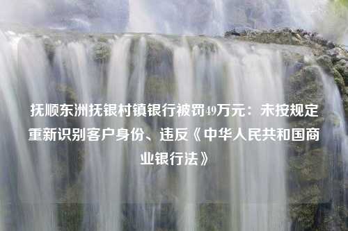 抚顺东洲抚银村镇银行被罚49万元：未按规定重新识别客户身份、违反《中华人民共和国商业银行法》