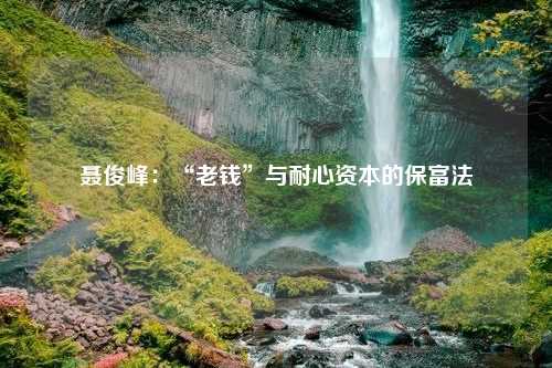 聂俊峰：“老钱”与耐心资本的保富法